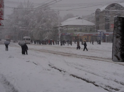 Ни один троллейбус не вышел на линию сегодня 