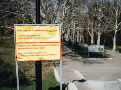 Срочно: с завтрашнего дня запрещается собираться группами более трех человек