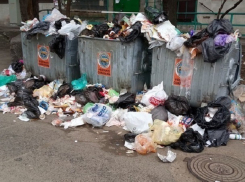 Экологической бомбой с отравляющей «всё вокруг» жидкостью для Кишинева стал неубранный и гниющий мусор