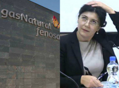 Сильвию Раду обвинили в конфликте интересов и уклонении от уплаты налогов