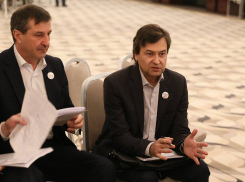 Фракцию ЛДПМ покидает депутат Виктор Рошка