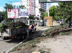 Из-за сильного ветра и жары в стране ввели желтый код метеоопасности 