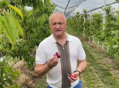 Президент призвал покупать продукцию молдавских фермеров