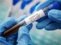 В Молдове +954 новых случая COVID-19 за сутки