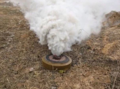 Дымовые шашки обнаружила в своем гараже жительница Приднестровья