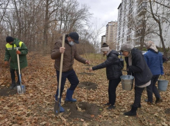 В Кишиневе продолжается посадка деревьев и кустарников
