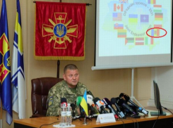 «Единая сила-2021» - молдавские военные примут участие в про-НАТО-вских учениях на территории Украины