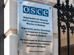 В ОБСЕ остановились на миссии ограниченного наблюдения за выборами в Молдове