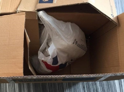 Ценную посылку из Америки разграбили на «Почте Молдовы», заменив бумагой и куском бревна 