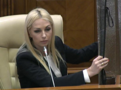 Шоу в молдавском парламенте: Таубер пытается защититься от «радиации» Нэстасе