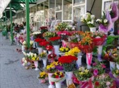 8 марта цветочники официально «напродавали» на 7 млн леев