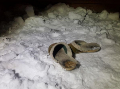 Украинская драма: бывшая любовница жениха выбросилась из балкона многоэтажки 