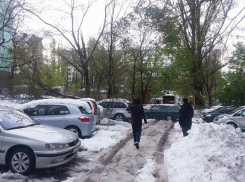 В Кишиневе несколько человек пострадали от падения деревьев