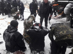 Унижения задержанных активистов разгромленного МихоМайдана вызвали бурное негодование украинцев