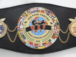 Международная Федерация кикбоксинга готова судиться с властями Молдовы