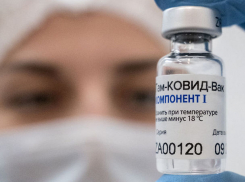 Источник: Молдова не дает разрешения на импорт вакцины Sputnik V в Приднестровье