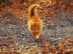 Во вторник в Молдове возможны дожди, пока незначительные 