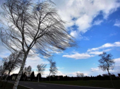 Молдову накроют сильные ветра