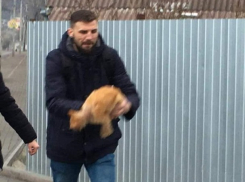 В Бельцах хотят поквитаться с живодером - на местные власти надежды больше нет