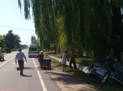 В Теленештском районе на пешеходном переходе насмерть сбили мать и дочь