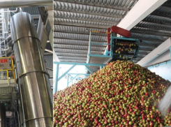 На фабрике по производству соков насмерть придавило женщину