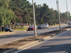 В Кишиневе ночью сперли все кусты, высаженные на Каля Орхеюлуй