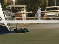 Зверское убийство румынки в Лондоне совершил ее ревнивый любовник