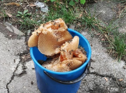 Пожарные убрали огромное осиное гнездо в одном из столичных районов