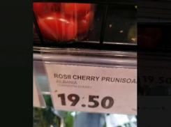 Лук из Индии, помидоры – из Турции и Албании: почему «душат» местную продукцию