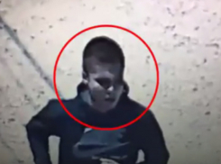 Сорвавший с женщины на Ботанике золотую цепочку бандит попал на видео 