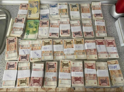 В Кэлэраше раскрыта масштабная коррупционная схема при выдаче водительских удостоверений