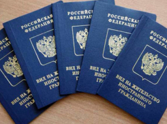 Вид на жительство в России теперь получить намного легче