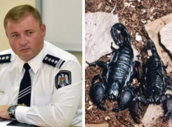 Трагически скончался «друг Кавкалюка», теперь экс-полицейский хочет сохранить его тело