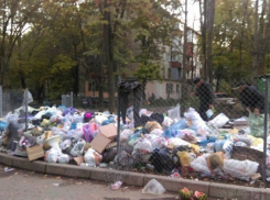 В День города мусор из одного из кишиневских дворов вывезли вместе с урнами 