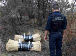 Молдавские контрабандисты попытались завалить Украину нелегальными вениками