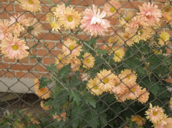 В воскресенье в Молдове будет тепло и облачно 