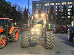 Протестующие фермеры шокированы игнором властей и готовят «сюрпризы»