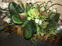  Декоративные цветы в Молдове - услада для глаз в карантин