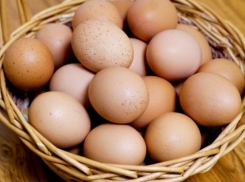 Химия в куриных яйцах: ANSA отзывает продукцию и уничтожает поголовье птиц
