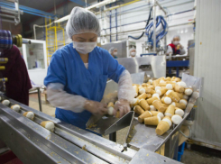 На фабрике мороженого в Кишиневе проходят обыски