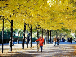 Аномальную осень-2017 предсказали Молдове синоптики