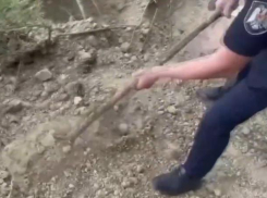 18-летний убил бабушку и попытался закопать живьем пожилого человека