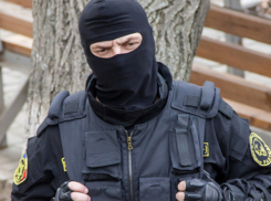 Бригада Fulger недосчиталась тысяч патронов