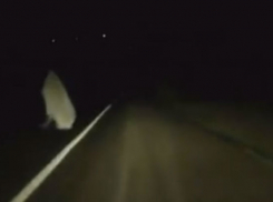 Странный призрак на ночной дороге напугал водителя и попал на видео