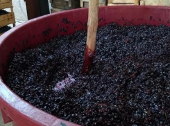 Опасность при приготовлении домашнего вина: IGSU предупреждает о риске отравления CO₂