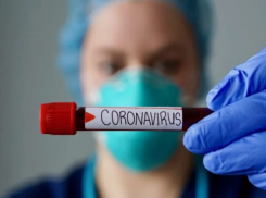Срочно! 424 новых случая заражения Covid-19