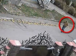 Нападение коварных бандитов на десятилетнего мальчика в Кишиневе попало на видео