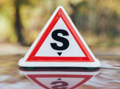 Раскрыта коррупционная схема при выдаче водительских прав: под подозрением 9 человек