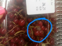 Смородину «дор блю» обнаружили в столичном супермаркете