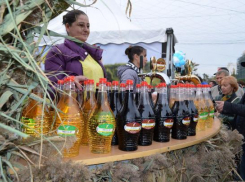 Обнародована программа мероприятий на День вина